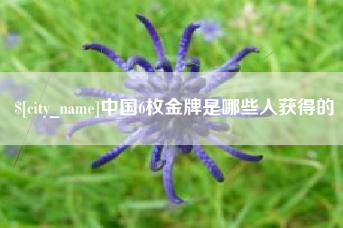 诸城中国6枚金牌是哪些人获得的