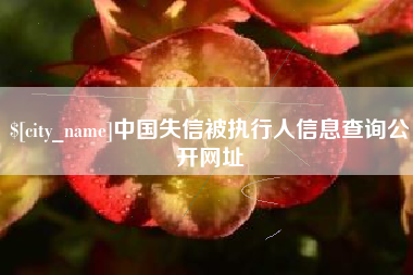 诸城中国失信被执行人信息查询公开网址