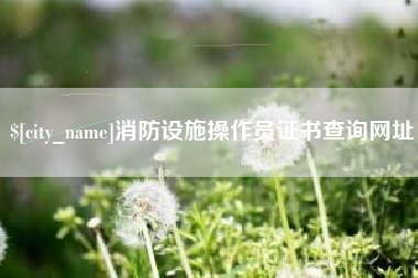 诸城消防设施操作员证书查询网址