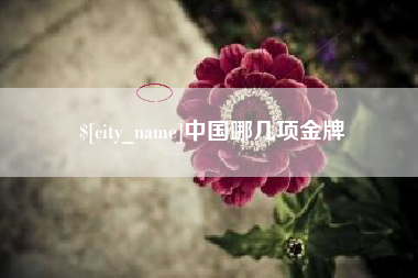 诸城中国哪几项金牌