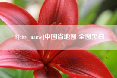 诸城中国省地图 全图黑白