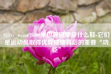 诸城5000米世界冠军穿什么鞋-它们是运动员取得优异成绩背后的重要“功臣”