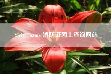 诸城消防证网上查询网站