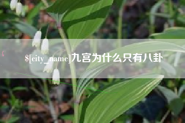 诸城九宫为什么只有八卦