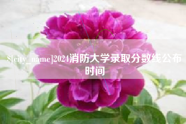 诸城2024消防大学录取分数线公布时间