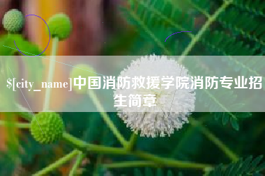 诸城中国消防救援学院消防专业招生简章