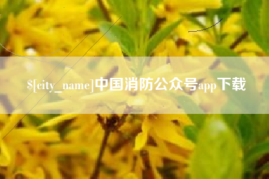 诸城中国消防公众号app下载