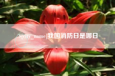 诸城我国消防日是哪日