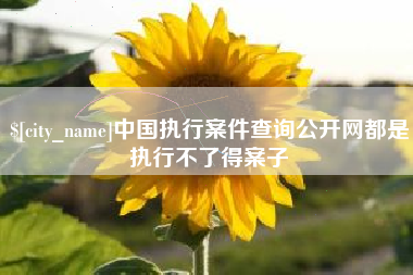 诸城中国执行案件查询公开网都是执行不了得案子