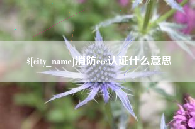 诸城消防ccc认证什么意思