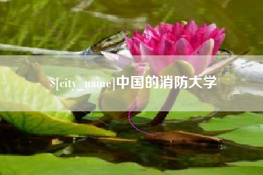 诸城中国的消防大学