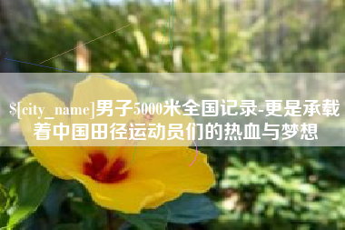 诸城男子5000米全国记录-更是承载着中国田径运动员们的热血与梦想
