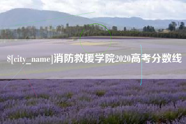 诸城消防救援学院2020高考分数线