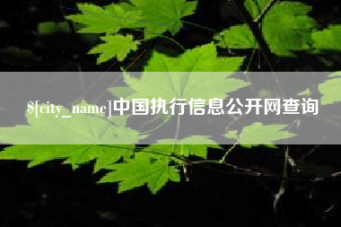诸城中国执行信息公开网查询