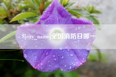 诸城全国消防日哪一