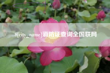 诸城消防证查询全国联网