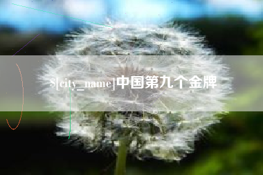 诸城中国第九个金牌