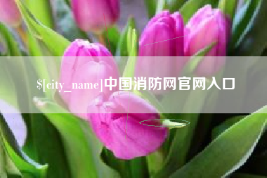 诸城中国消防网官网入口