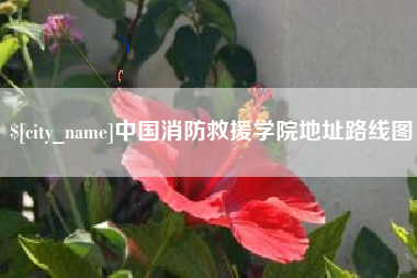 诸城中国消防救援学院地址路线图