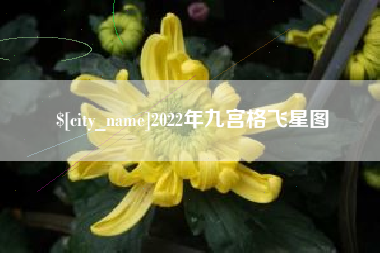 诸城2022年九宫格飞星图