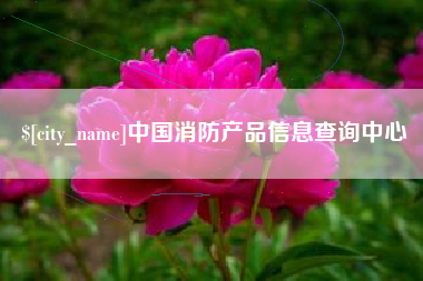 诸城中国消防产品信息查询中心