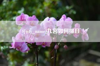 诸城九宫如何排日