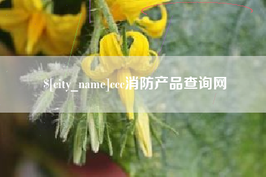 诸城ccc消防产品查询网