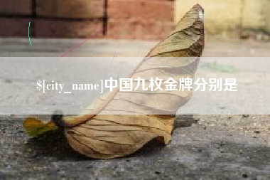 诸城中国九枚金牌分别是