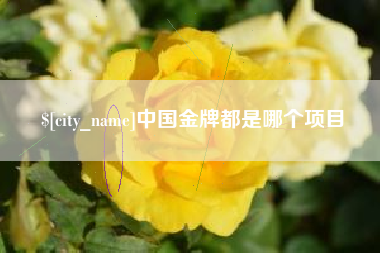 诸城中国金牌都是哪个项目