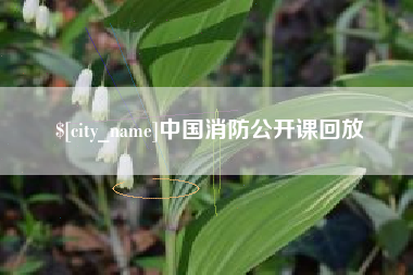 诸城中国消防公开课回放