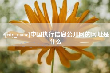 诸城中国执行信息公开网的网址是什么