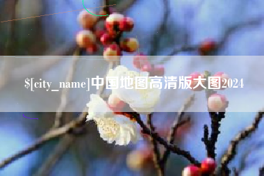 诸城中国地图高清版大图2024