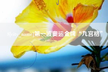 诸城第一波奥运金牌“九宫格”