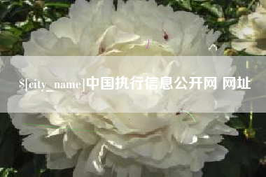 诸城中国执行信息公开网 网址