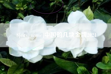 诸城中国的几块金牌2021