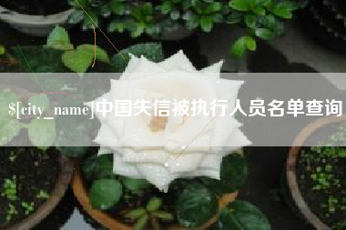 诸城中国失信被执行人员名单查询