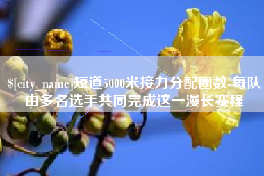 诸城短道5000米接力分配圈数-每队由多名选手共同完成这一漫长赛程