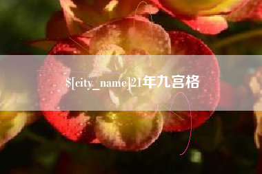 诸城21年九宫格