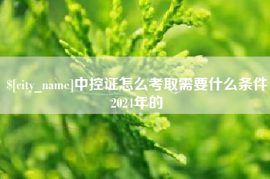诸城中控证怎么考取需要什么条件2024年的