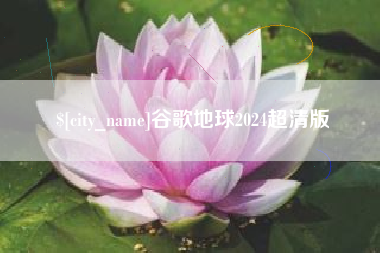 诸城谷歌地球2024超清版