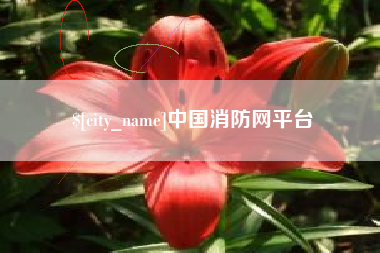 诸城中国消防网平台