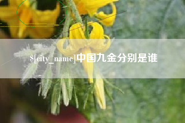 诸城中国九金分别是谁
