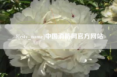 诸城中国消防网官方网站