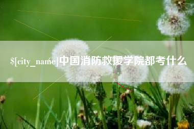 诸城中国消防救援学院都考什么
