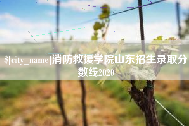 诸城消防救援学院山东招生录取分数线2020