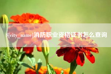 诸城消防职业资格证书怎么查询