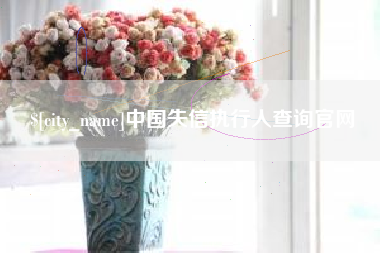 诸城中国失信执行人查询官网