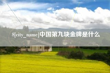 诸城中国第九块金牌是什么