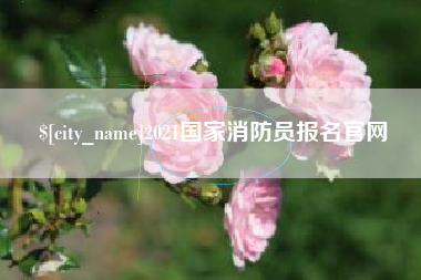 诸城2021国家消防员报名官网