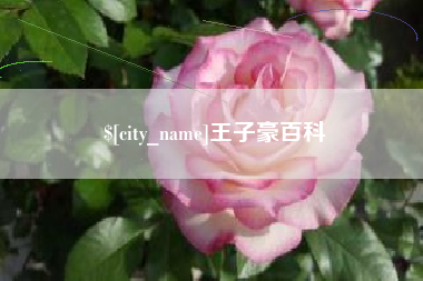 诸城王子豪百科